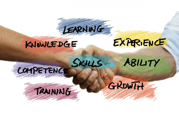 No Experience, No Problem: Data Science Courses for Beginners